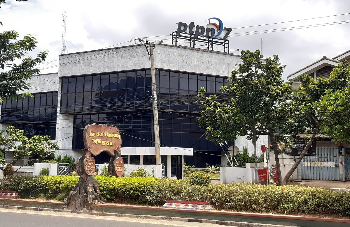 Gara-gara Karet dan Gula, Utang PTPN VII Menggunung, Akhirnya Pilih Sawit