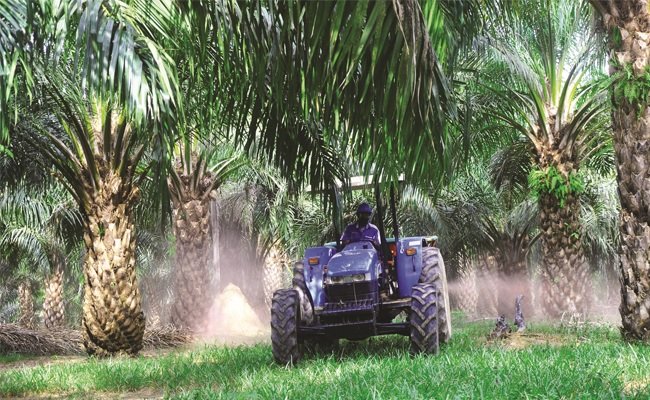 Mekanisasi Sawit dan Penghitungan Efisiensi Tenaga Kerja