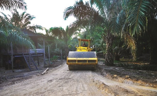 Menakar Efisiensi Mekanisasi Di Perkebunan Kelapa Sawit