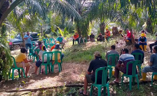 PT Agro Andalan dan SPKS Lakukan Pembinaan Ke Petani Sawit, Supaya Produksi Meningkat