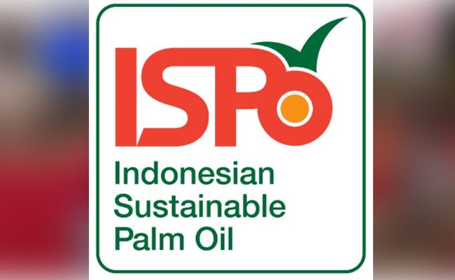 Satu Dasawarsa ISPO Sawit, Baru Mencakup 35% Tutupan Kebun Sawit di Indonesia