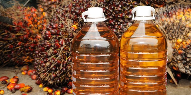 September Membawa Berkah, Harga CPO di Jambi Naik Tipis Jadi Rp12.019 Per Kilogram