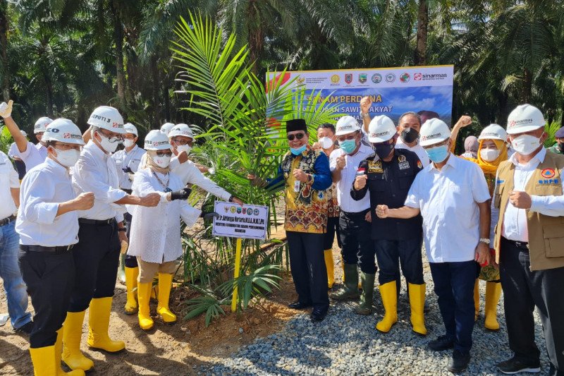 Target 180.000 Ha, Musdhalifah: PSR Solusi Pengangguran di Daerah