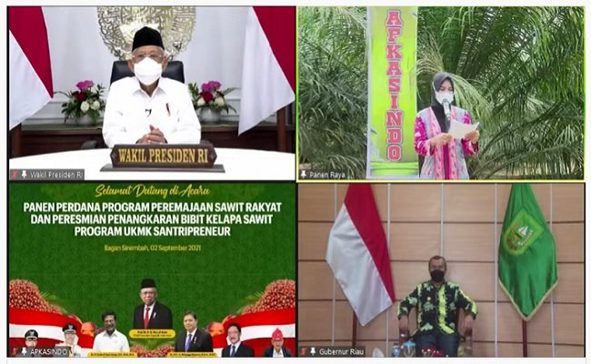 Wapres: PSR Sawit Untuk Dongkrak Kesejaheraan Rakyat