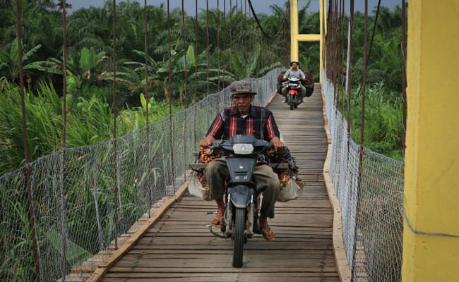 Harga TBS Sawit Jambi Periode 2-8 September 2022, Masih Naik Rp 80,20/Kg